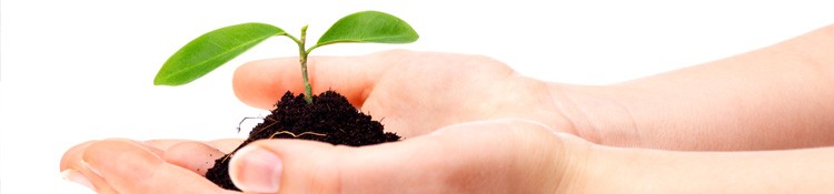 Growing Media (inc compost)